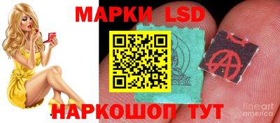 мяу мяу мука Владивосток