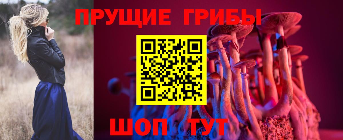 Галлюциногенные грибы Psilocybe Донецк